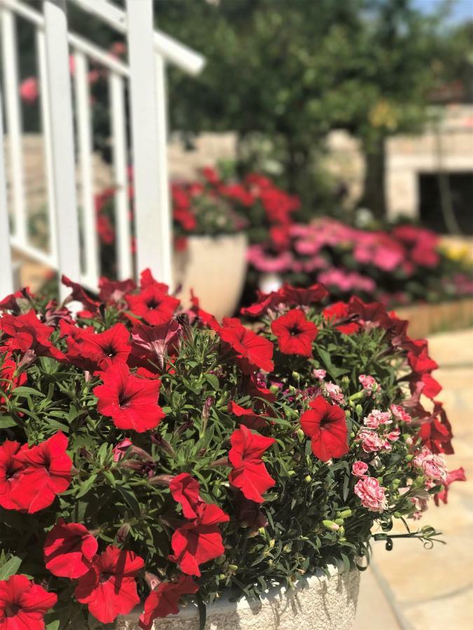Apartmani Fortuna Lumbarda Dış mekan fotoğraf